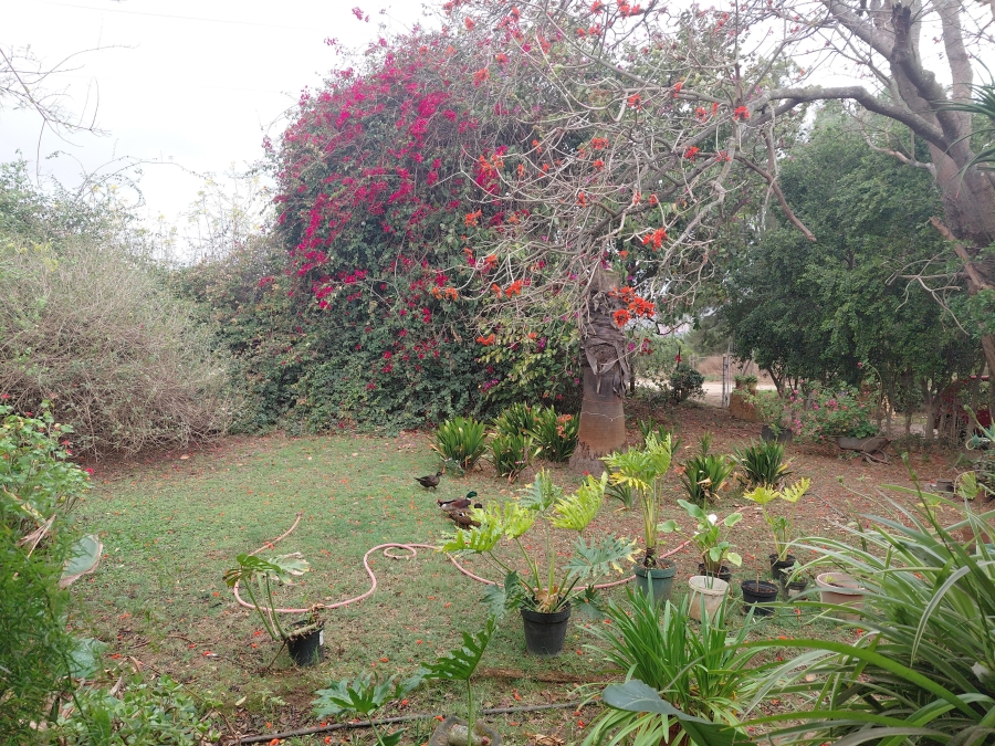 Commercial Property for Sale in Kruisrivier Eastern Cape